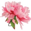 chey0kota_MC_Peony_Ele (12)