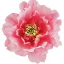 chey0kota_MC_Peony_Ele (13)