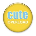 DZ_Sisterhood_Cute_button