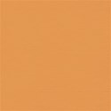 Citrus Orange