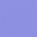 light blue check