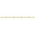 Circle Border Orange Mix 