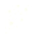 element (41)