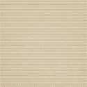 bg (1)