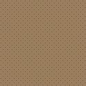 bg (3)