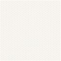 bg (6)
