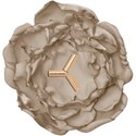 element (28)