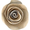 element (45)