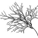 element (72)
