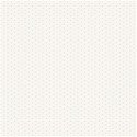 bg (6)