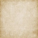 bg (7)