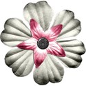 flower3