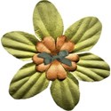 flower2
