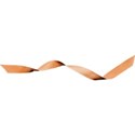 ribbon2