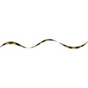 swirl3
