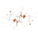 splash2