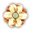 schua_blooming_flower3 Shadow