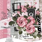 Dusty Rose Color Collection Dusty Rose Color Collection