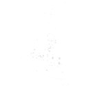 element (16)