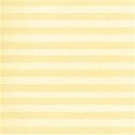 bg (13)