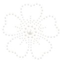 element (5)