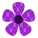 purple flower