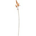 flower branch 3