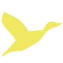 bird4