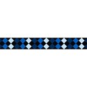 blue checkered banner