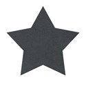 jennyL_boysboys_star3