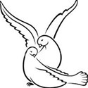 dove4
