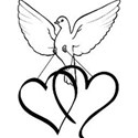 dove5