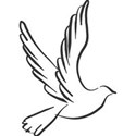 dove6