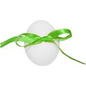 chey0kota_Spring_Ele (26)