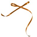bow 1 orange