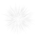 burst black