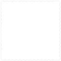 scallop template white