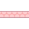 1 (7)