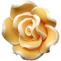 chey0kota_Mother_Ele (27)