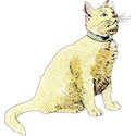 childrensbooks_cat