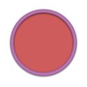 frame_circle_large_pink