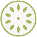 Circle Burst Green
