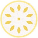 Circle Burst Yellow