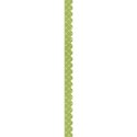 Scallop Green