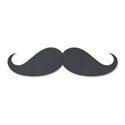 jennyL_superdad_moustache
