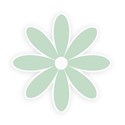 flower 3