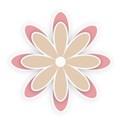 flower 14