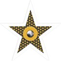 lisaminor_celebrateamerica_star_f
