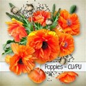 chey0kota_CU Poppies_Coverplain [blog preview]