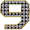 d_0000s_0001_9